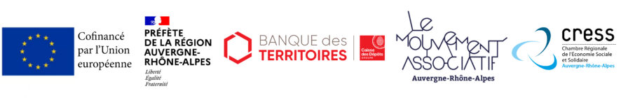 bandeau logo financeurs DLA AURA FSE 2025